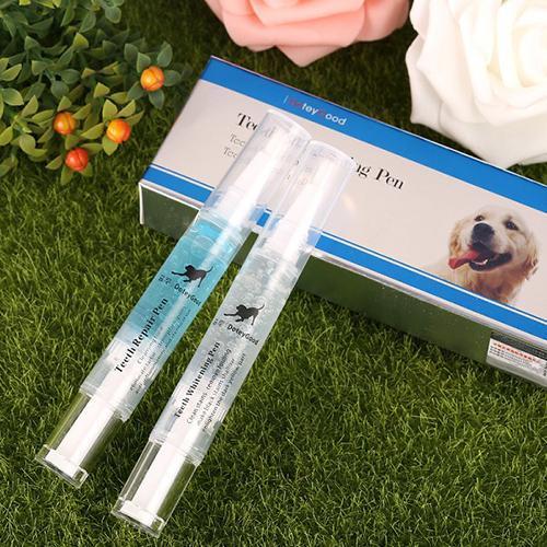 Praktisk tandborstning och tandhygien för hund och katt med penna