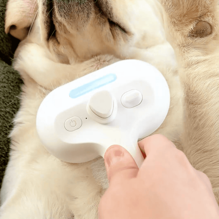 BrushPaw Ångborste för Hundar