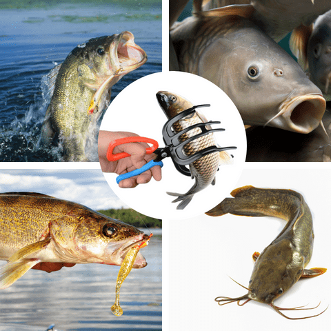 Fiskklo-Grepp: Förenkla Din Fiskeupplevelse!