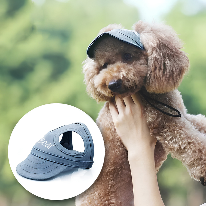 Brun pudel i solljus som bär en grå hundsolhatt med öronöppningar