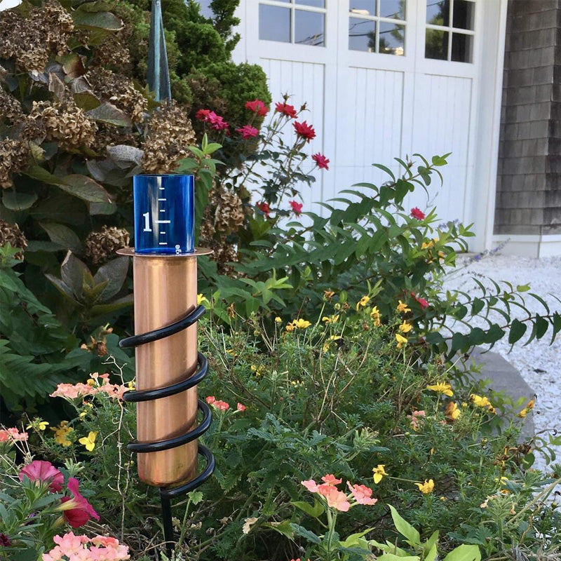 Trädgård regnmätare placerad bland växter och blommor