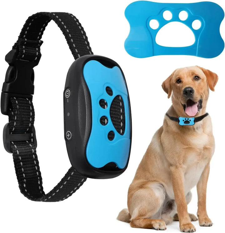 Svart anti-bark hundhalsband med blå detaljer och tassmotiv bredvid en glad hund