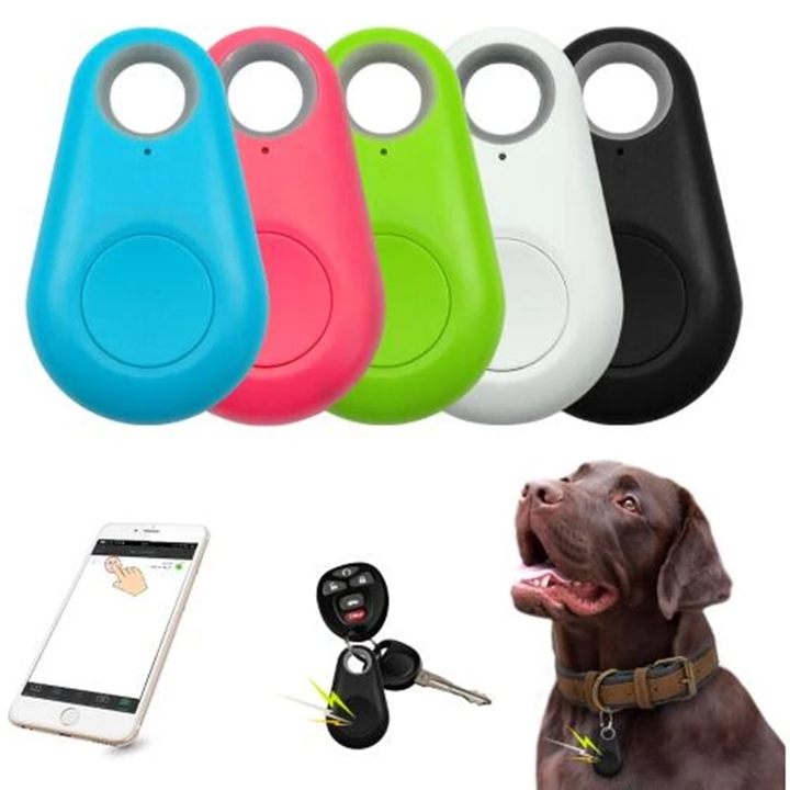 Fem färgglada GPS-trackers för husdjur bredvid en hund