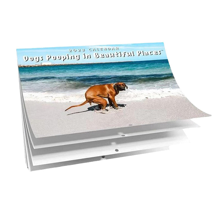 "2023 Hundkalender för hundälskare, glansigt papper, bilder av hundar i avslappnade poser, perfekt rolig present."