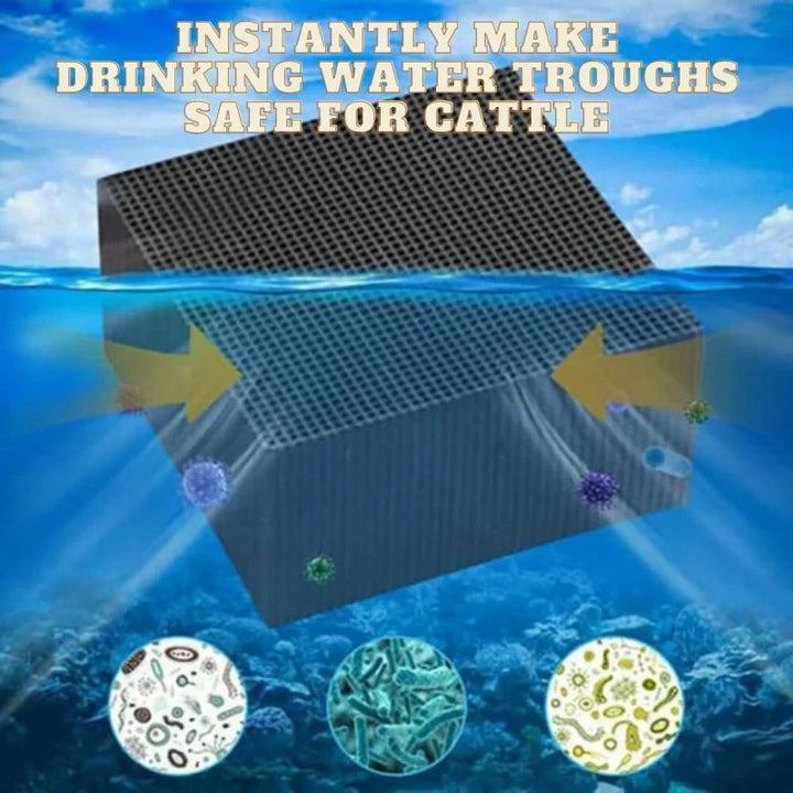 Bio Cube vattenfilter för effektiv algborttagning