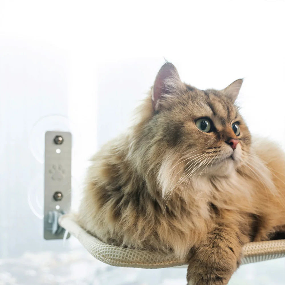 Kattens hängmatta: Stilren oas av lugn för din katt