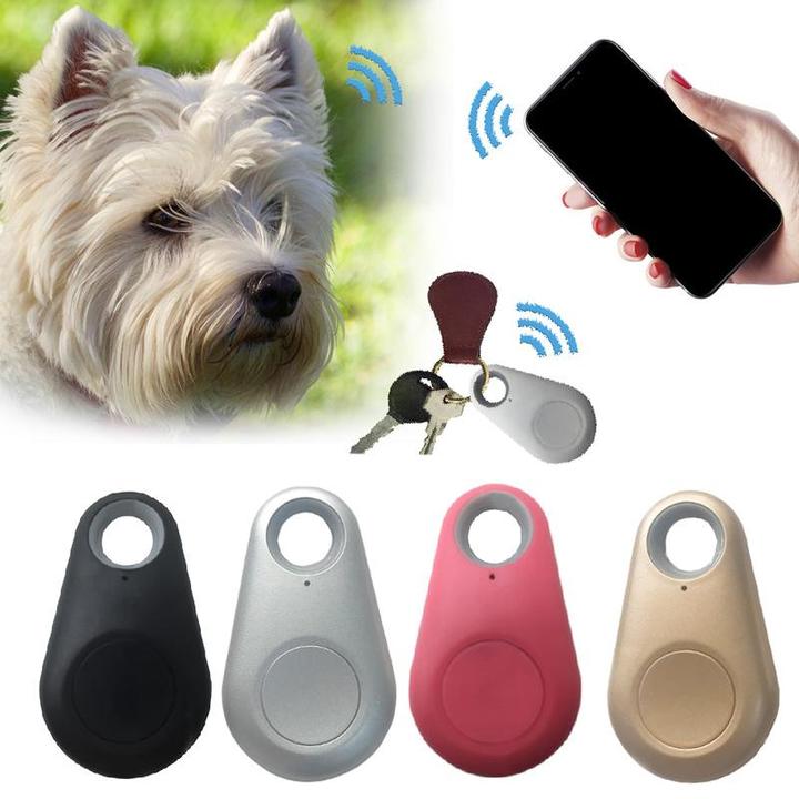 Vit hund och hand med smartphone som visar appen