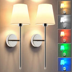 Silver-2delar
