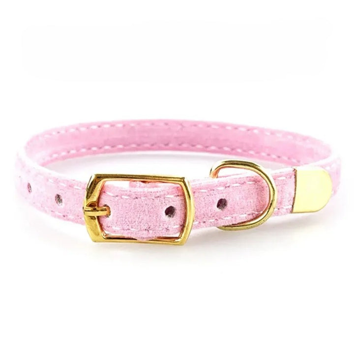 Sammet katt halsband med guldspänne – mjukt och justerbart