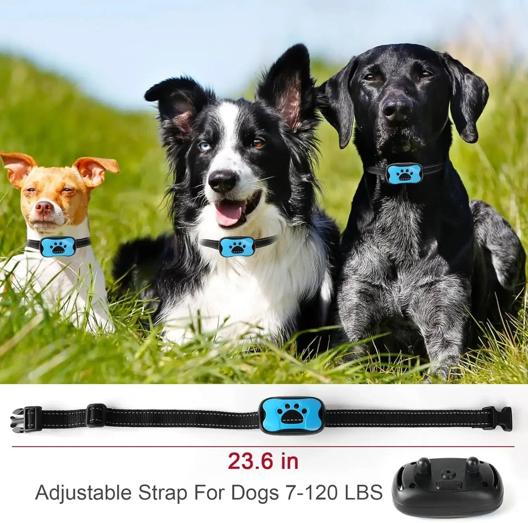Smart anti-bark hundhalsband för effektiv hundträning och mindre skällande