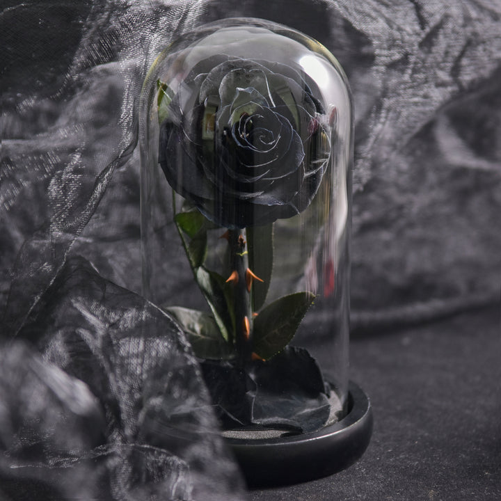 Detaljbild på röd evig ros i elegant glaskupol för inredning