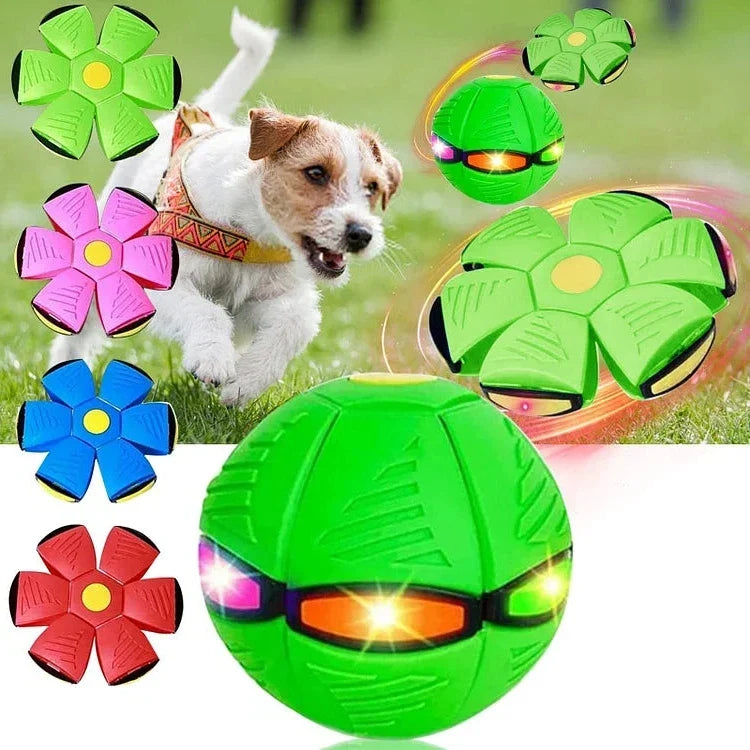 Interaktiv hundleksak som förvandlas från frisbee till boll