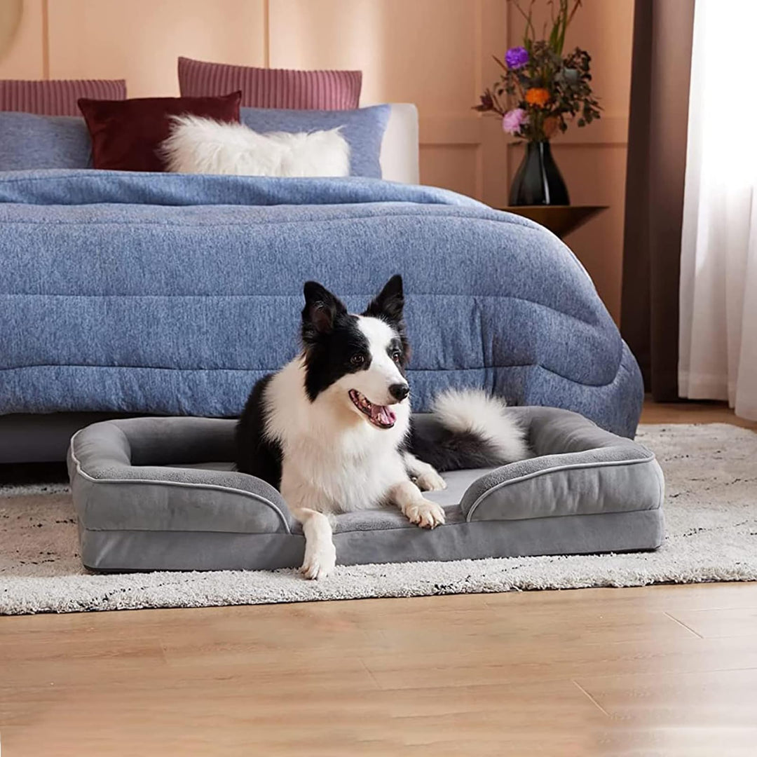 Border collie som ligger bekvämt i en grå ortopedisk hundsäng i ett sovrum