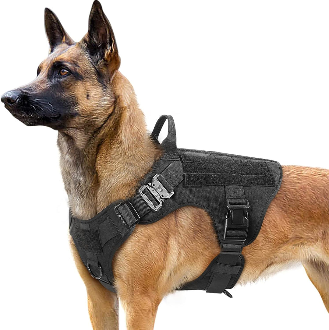 Taktisk hundsele i svart modell på en schäfer