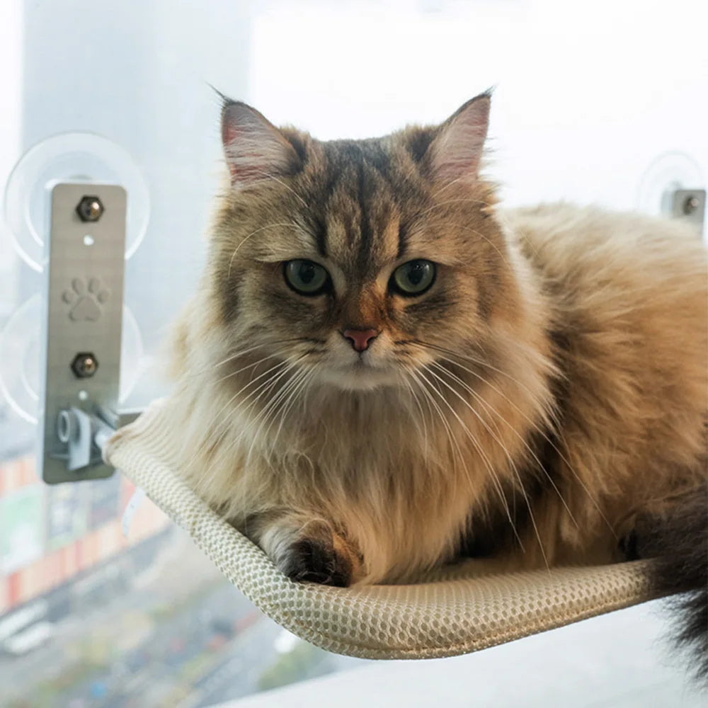 Kattens hängmatta: Stilren oas av lugn för din katt