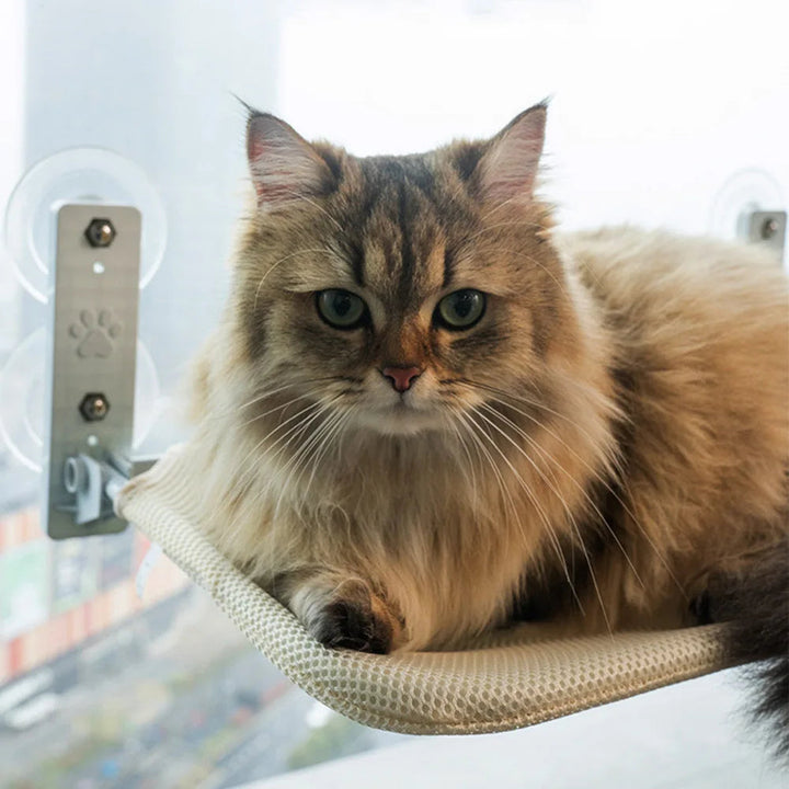 Kattens hängmatta: Stilren oas av lugn för din katt