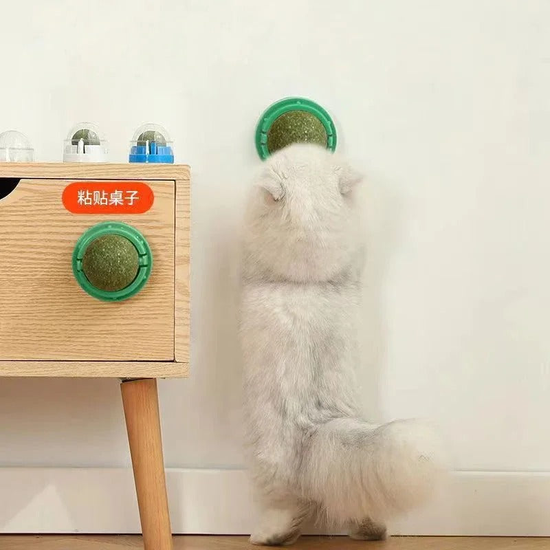 Katt som sträcker sig mot en kattmyntaboll fäst på en byrå