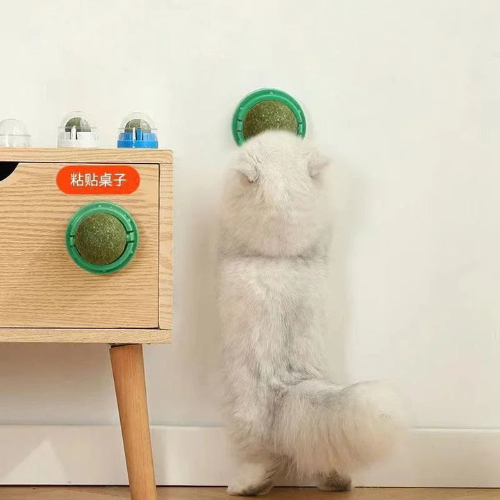 Katt som sträcker sig mot en kattmyntaboll fäst på en byrå
