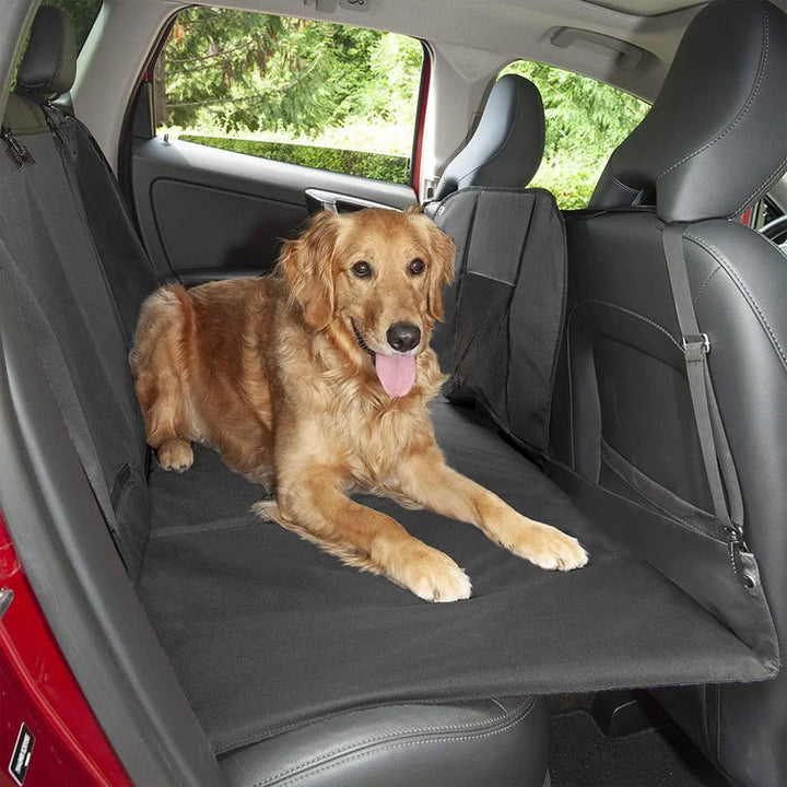 Golden retriever som ligger tryggt på baksätesmattan för hundar
