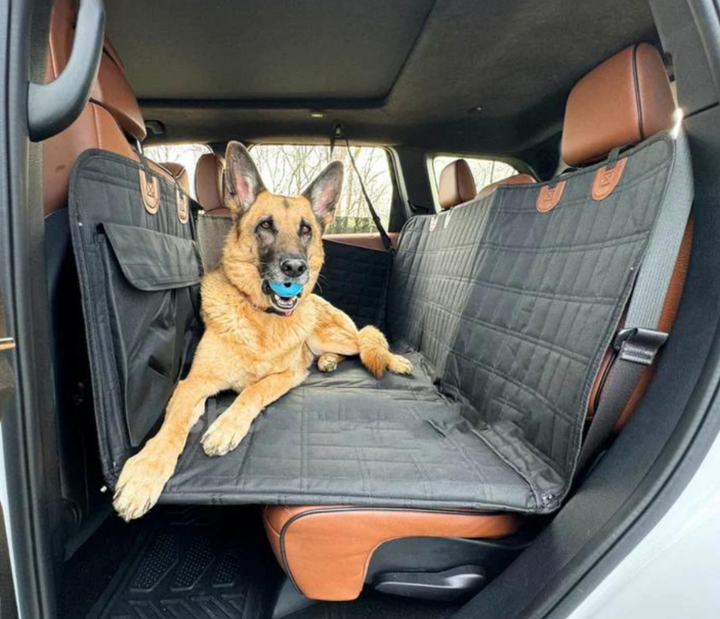 Schäferhund som sitter bekvämt på det svarta hundbaksäteskyddet i en bil