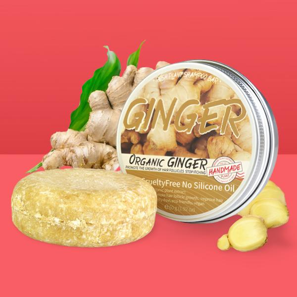 Ingefära Hårväxtschampo schampobar med färsk ingefära och naturliga ingredienser