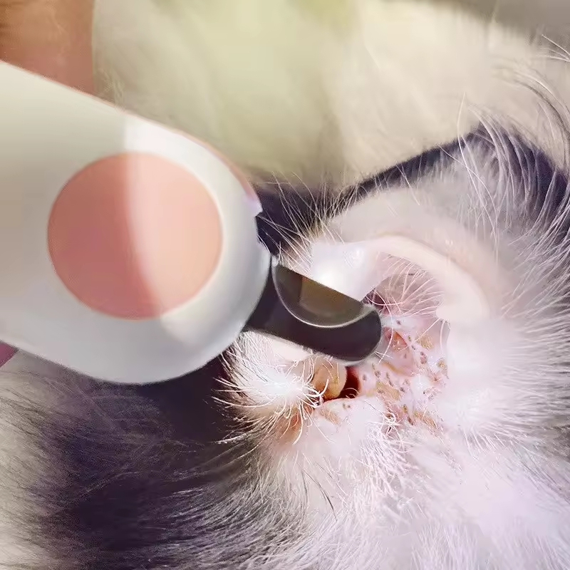 Klotång för Djur med Ljus – Säker och Stressfri Klippning för Katt & Hund