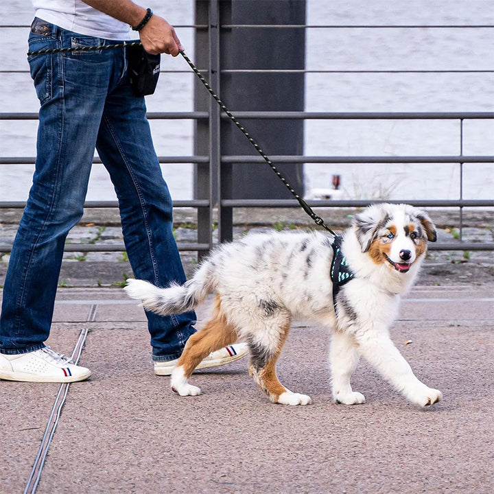 Reflexkoppel för Hund & Katt – Synligt & Hållbart i Mörker
