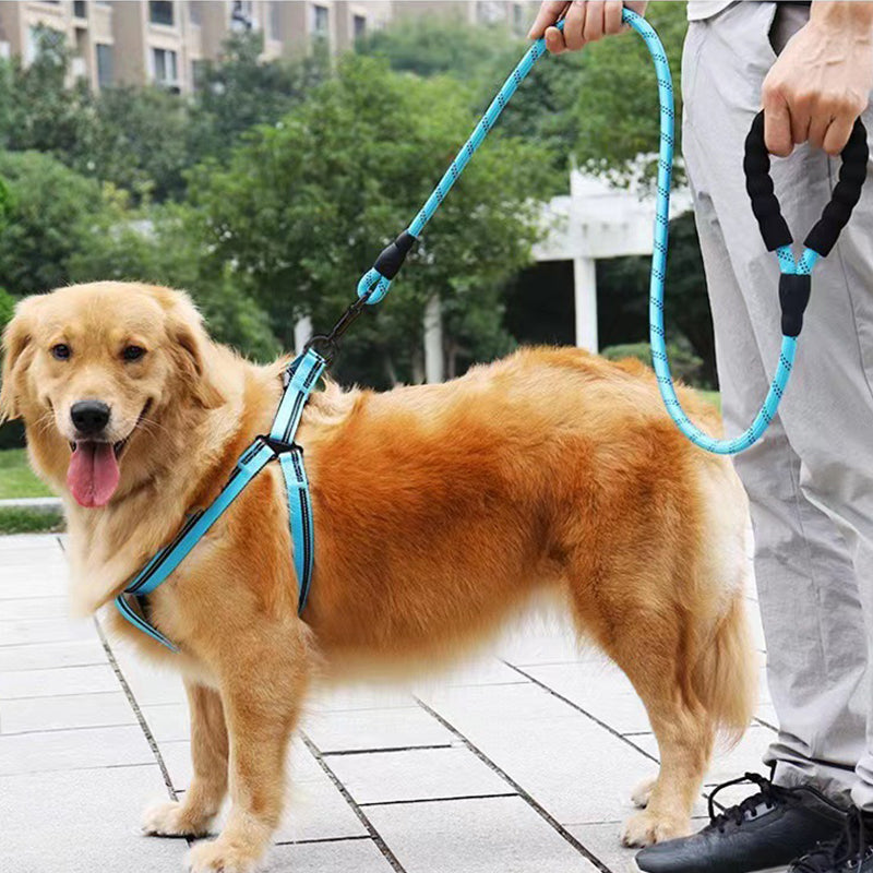 Reflexkoppel för Hund & Katt – Synligt & Hållbart i Mörker