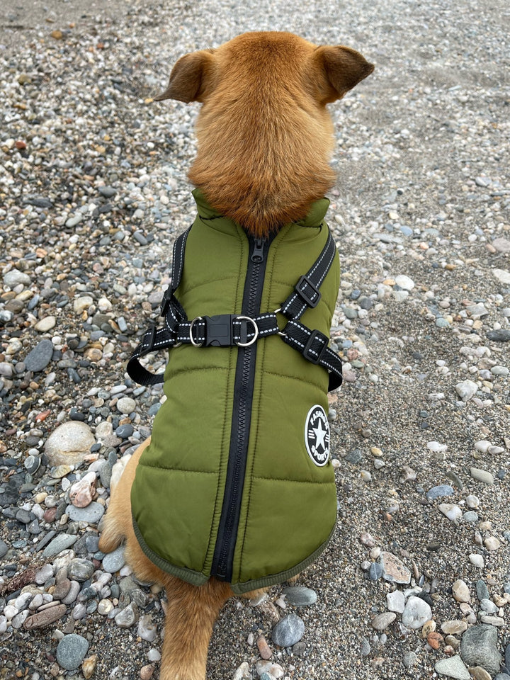 Högkvalitativa material och sömmar på den vattentåliga hundjackan