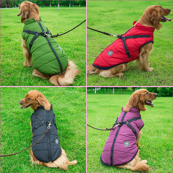 Olika färgvarianter av hundjackor på gräsmatta
