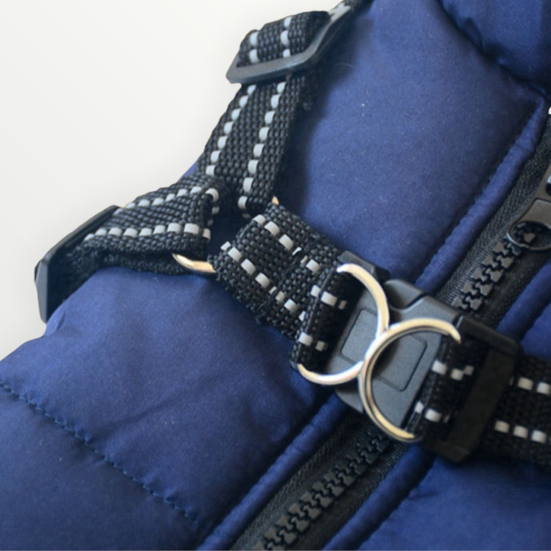 Grå hundjacka med reflexdetaljer och praktisk dragkedja på ryggen