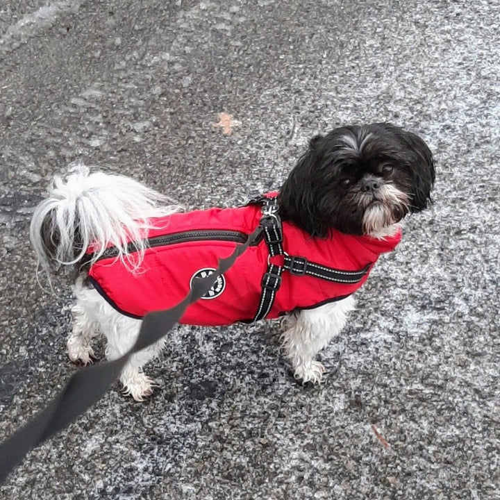 Husdjurstillbehör: bekväm hundsele och jacka i kombination