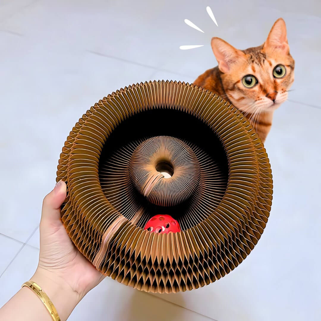 Catigo - Hållbar och Miljövänlig Klösbräda för Katter