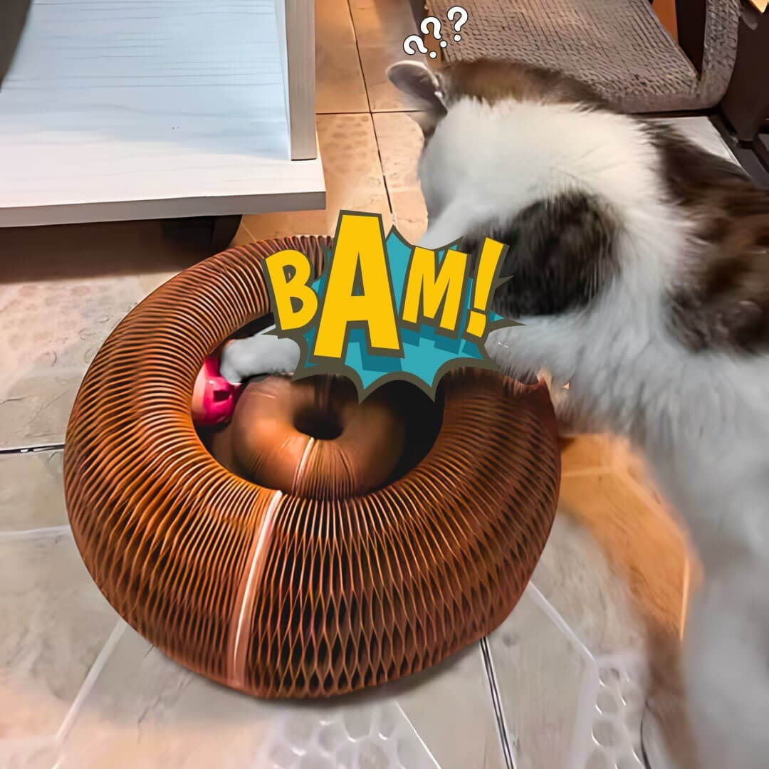 Catigo - Hållbar och Miljövänlig Klösbräda för Katter