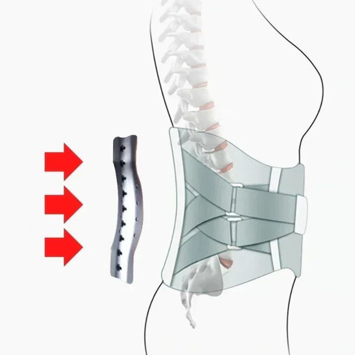 Illustration av ryggstödets stabiliserande effekt på ryggraden