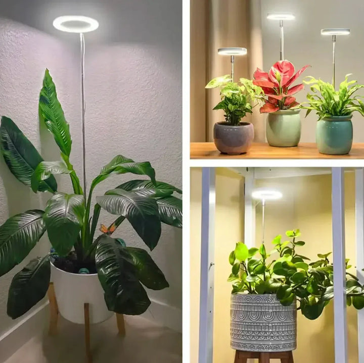 Närbild på LED växtlampa som ger starkt fullspektrumljus till gröna växter
