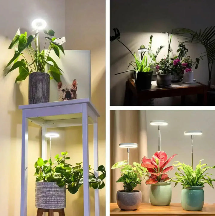 Inomhus LED lampa för växtodling med praktisk integrerad timer