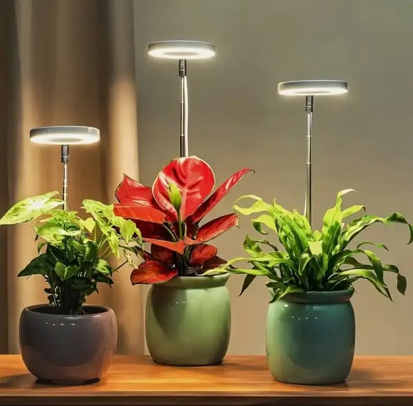 LED växtlampa med fullspektrum för inomhusväxter och örter i kruka