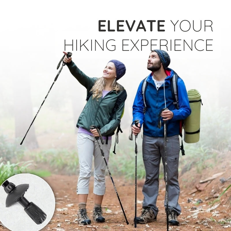 Två vandrare som använder vandringsstigar i skogen med naturlandskap