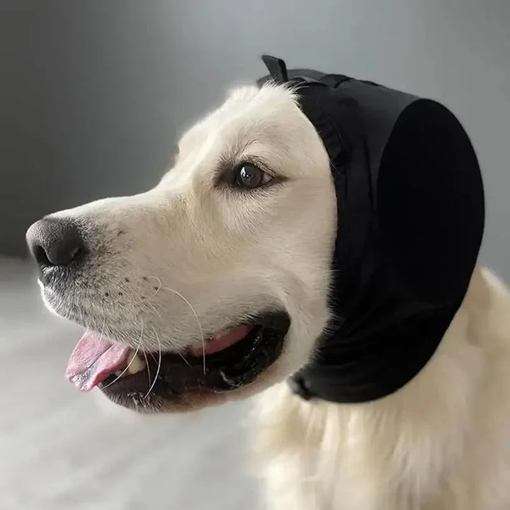 Svart bullerdämpande huvudbandage för hund på gyllene retriever