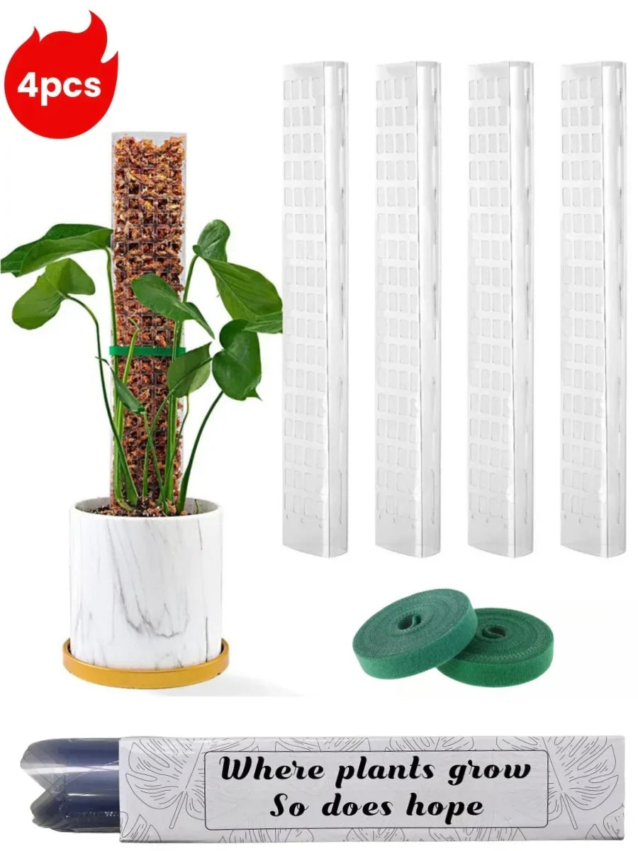 Transparent växtstöd i PVC för klätterväxter och monstera i kruka