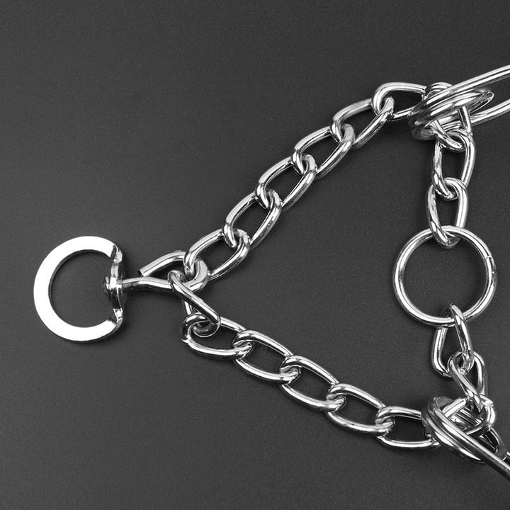 Detaljbild på metallringar och fästen för hundhalsband