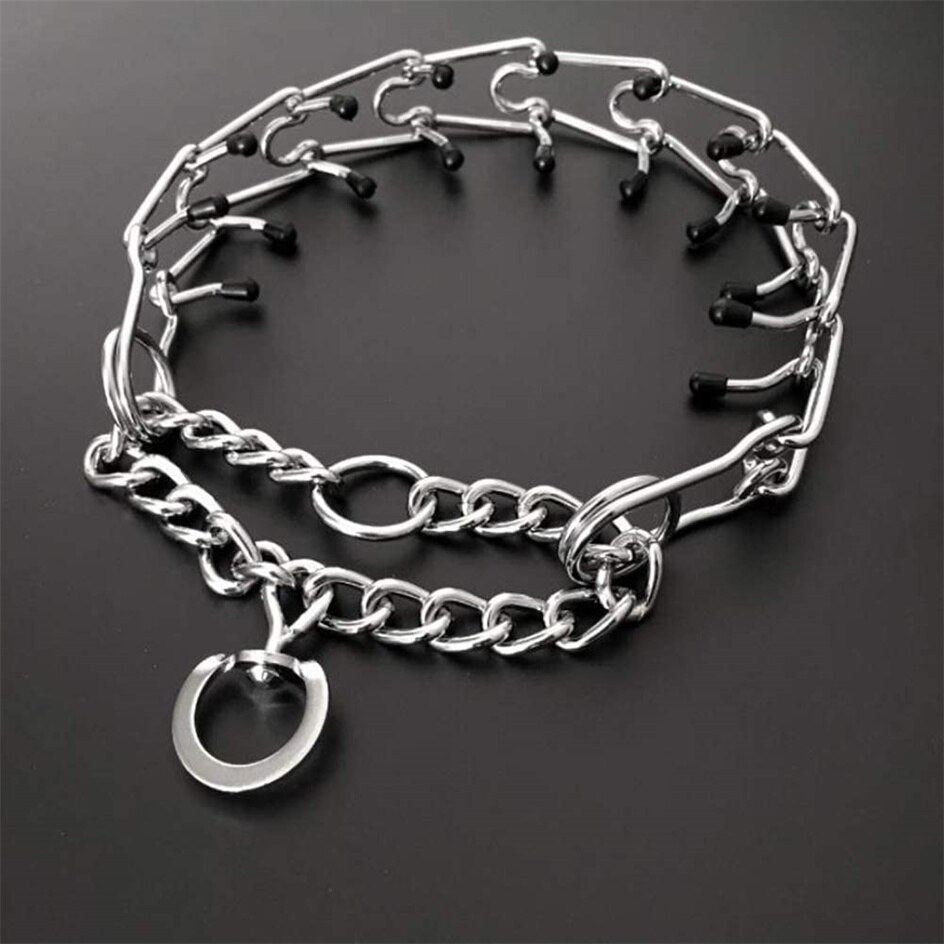 Detaljbild på spänne och ring på hundhalsband mot drag