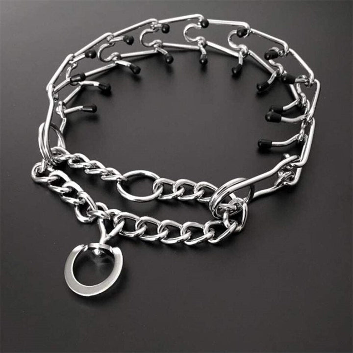 Detaljbild på spänne och ring på hundhalsband mot drag