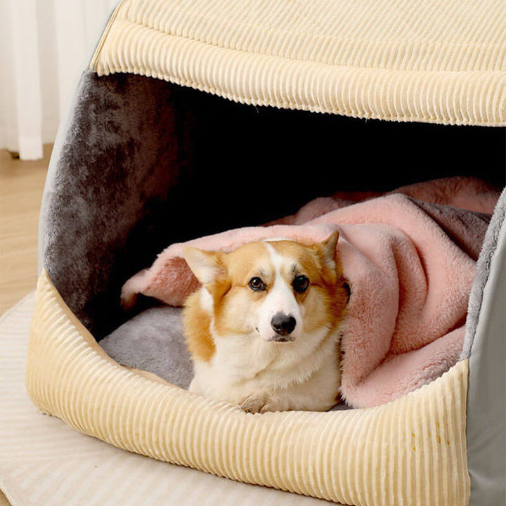 En söt corgi ligger bekvämt i en rymlig och mjuk hundsäng med mysigt täcke.
