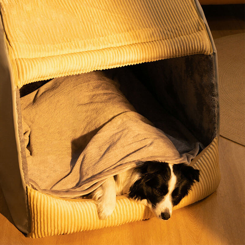 En border collie vilar tryggt inuti den isolerade hundsängen under en filt.