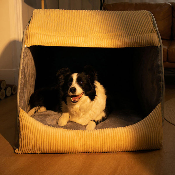 En glad border collie tittar fram från sin rymliga och hållbara hundbädd.