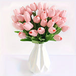 15 Rosa