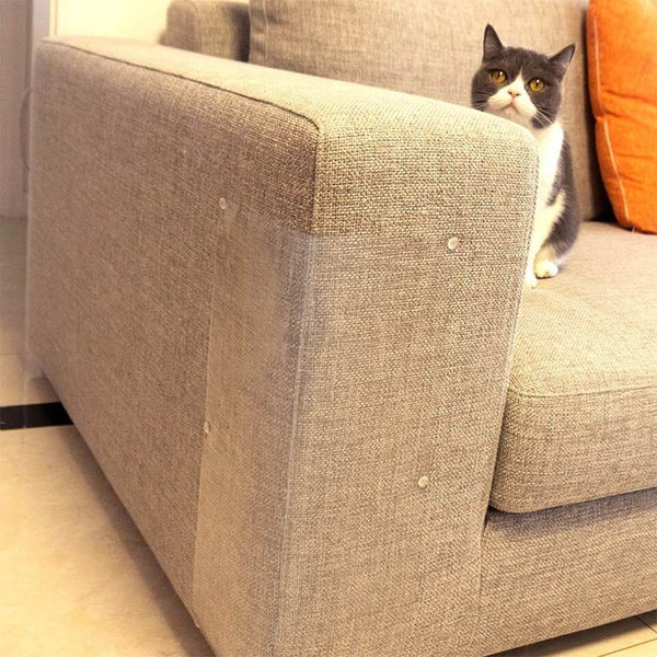Närbild på gråvit katt bredvid en soffa med genomskinligt möbelskydd