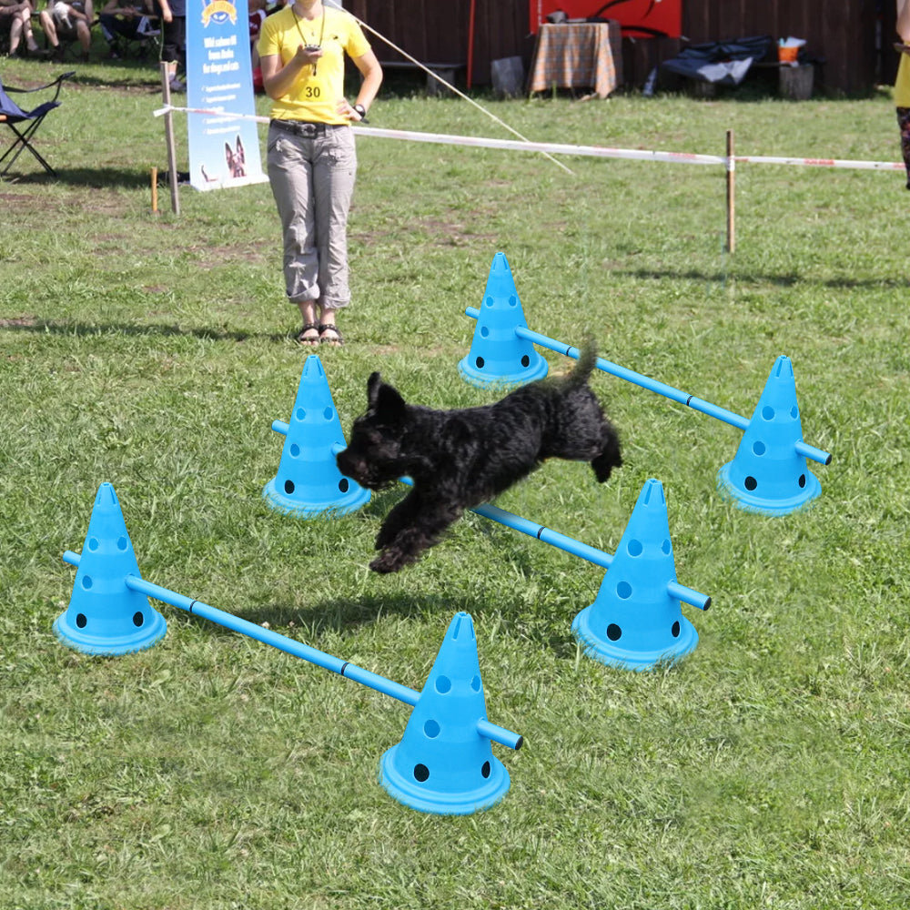 Hund hoppar över agilityhinder, tränar smidighet och lydnad med robusta hundutrustningsdelar för agilityträning.